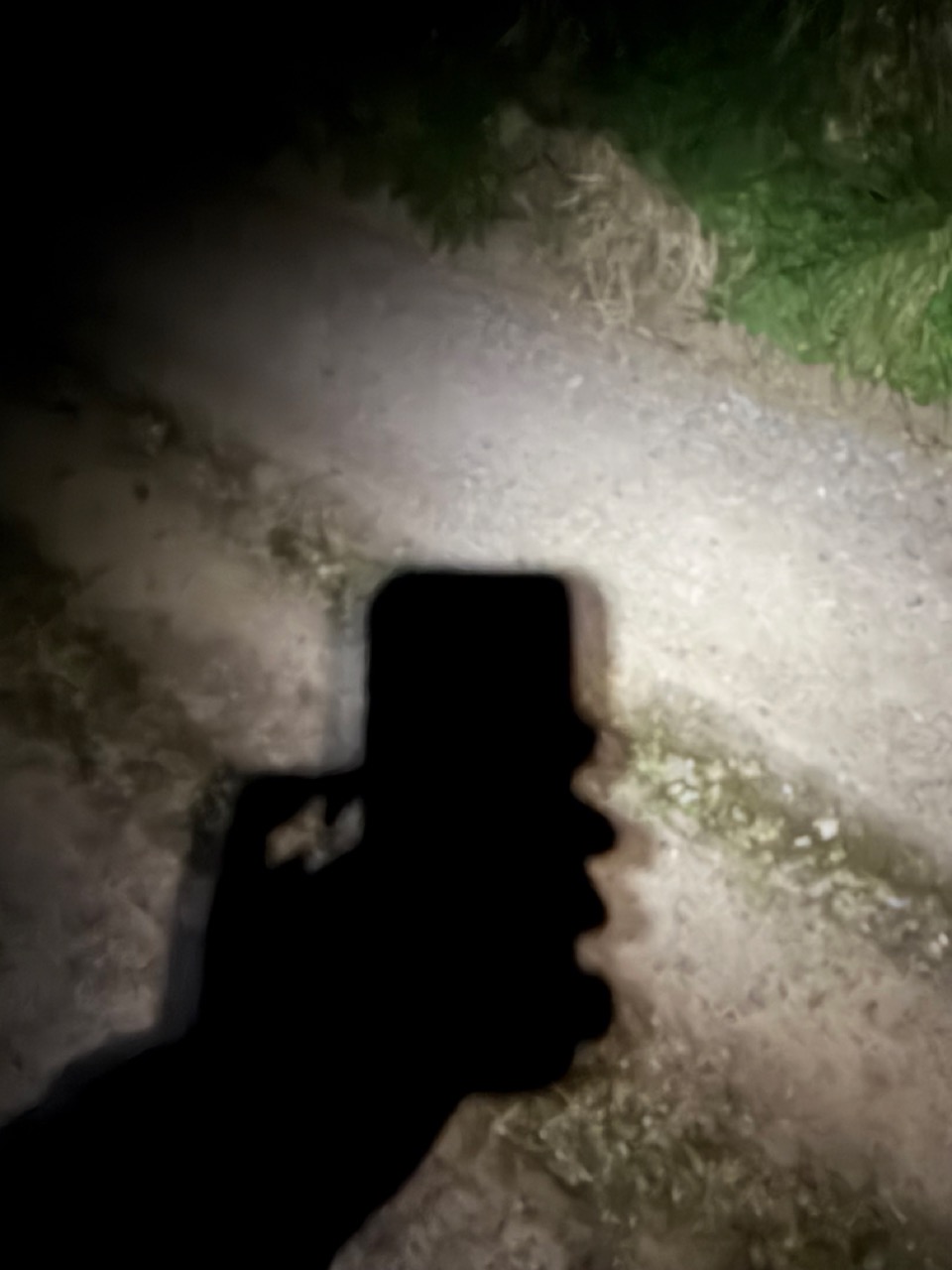 Photograph of a shadow of an arm holding an iPhone, cast over a country lane at night